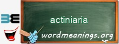 WordMeaning blackboard for actiniaria